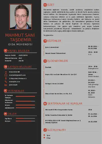 cv indir